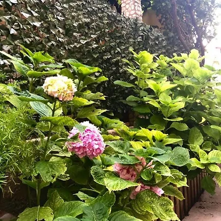 Green Door Apartman