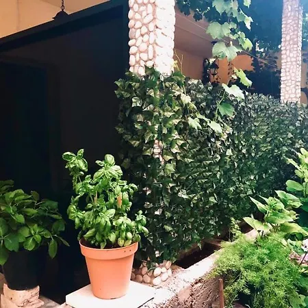 アパート Green Door Žuljana